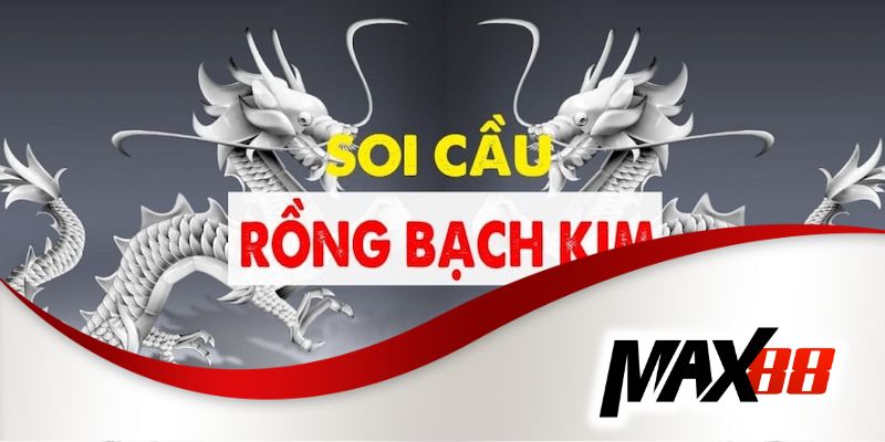 Tổng hợp các điểm nổi trội mà Rongbachkim 247 mang lại cho hội viên